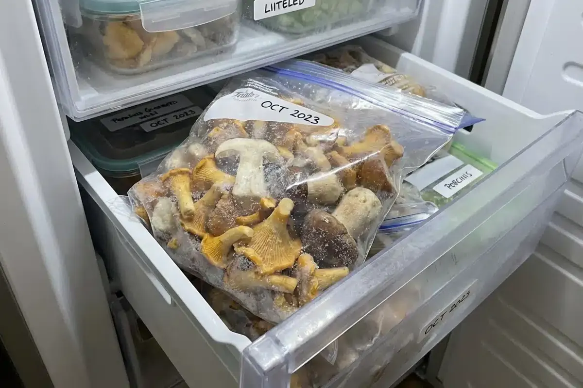 Funghi molli dopo la congelazione? Il trucco usato da tutti gli chef per mantenere intatta la loro consistenza e sapore!