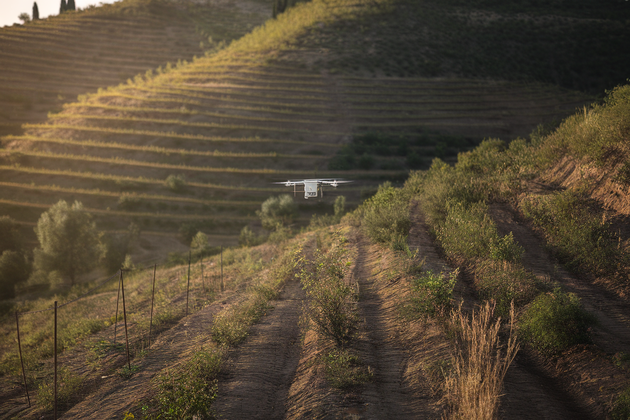 Colline con noccioleto e drone agricolo in volo al tramonto